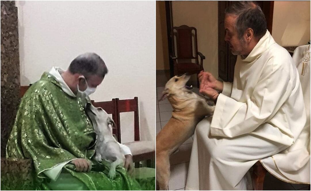 El padre João busca que los feligreses adopten a los perritos y tengan una vida llena de amor - Foto: João Paulo de Araujo Gomes
