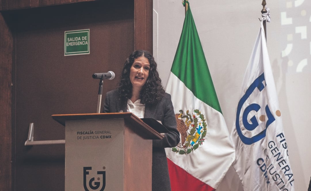 La fiscal explicó que en caso de que se lleve el asunto ante un juez, este determinaría responsabilidades. Foto: de FERNANDA ZAMORA. EL UNIVERSAL
