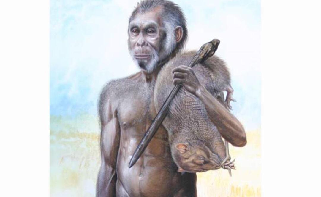 No tiene signos de ninguna patología conocida en el Homo Sapiens. Foto: Archivo