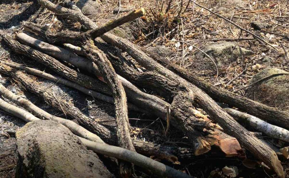El pasado viernes 6 de marzo fue detenida una persona por presuntamente realizar quemas en un predio con vegetación forestal en una ANP de Tepoztlán, Morelos. Foto: Profepa