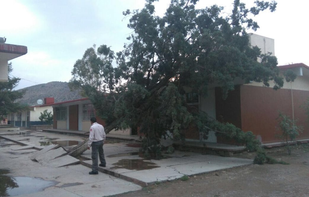 Foto Xóchitl Álvarez