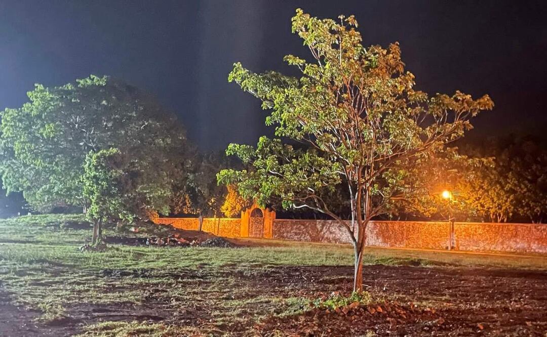 Zona de Xtepén, Yucatán donde autorizaron la tala de árboles para la realización de un evento taurino (10/07/2025). Foto: Especial
