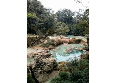 Realizan estudio por sequía en cascadas de Agua Azul