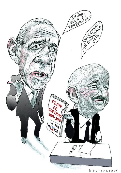 Cartón de HELIOFLORES