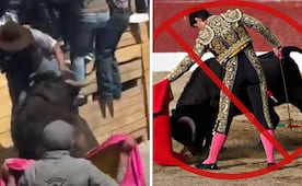 Videos virales en Tlaxcala encienden las alarmas: ¿qué estados ya prohibieron la tauromaquia en México?