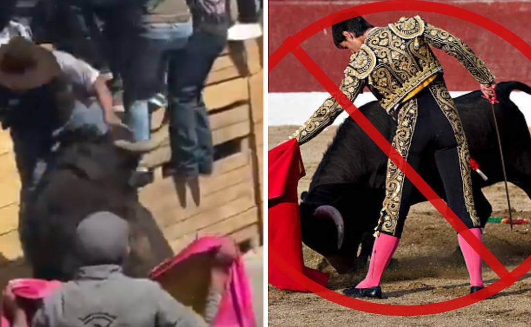 Diversos colectivos de protección civil y defensa animal expresaron su preocupación por el riesgo y la violencia implícita en estos espectáculos
Foto: El Universal