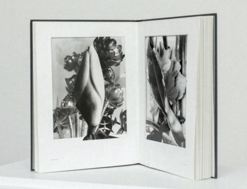 Jill Magid reflexiona sobre la relación del trabajo físico y la fragilidad del humano, en LABOR