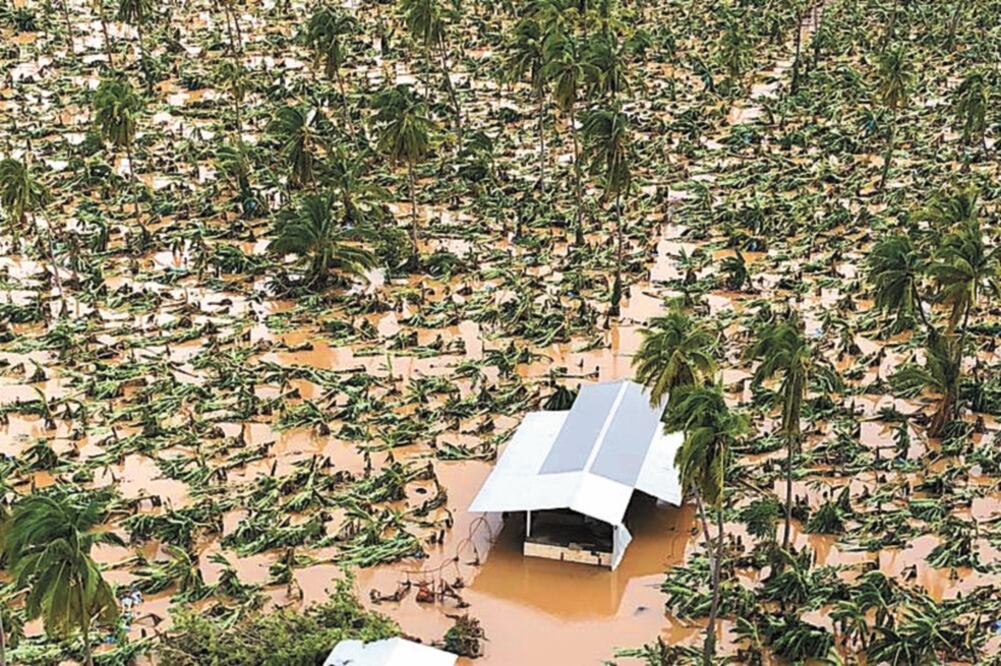 A pesar de que en Jalisco se declaró concluida la emergencia, 223 viviendas resultaron dañadas, así como dos escuelas. Foto: PROTECCIÓN CIVIL JALISCO