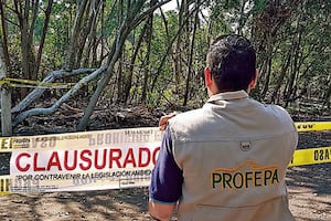 Profepa alerta sobre fraudes a través de falsos inspectores; piden dinero a cambio de no colocar sellos de suspensión