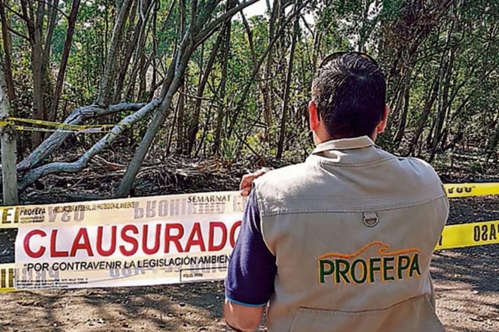 Alertan sobre falsos inspectores de Profepa que piden dinero este periodo vacacional. Imagen Ilustrativa. Foto: Especial