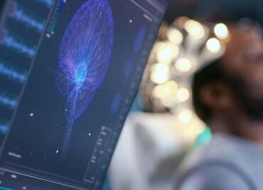 Conoce estos 4 hábitos para mantener tu sistema nervioso saludable