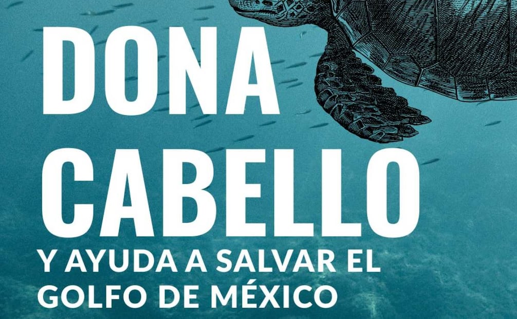 Dona cabello y ayuda al derrame petrolero en el Golfo de México (26/03/2026). Foto: Facebook Ayudando Patitas