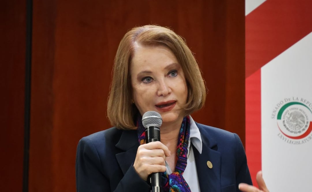 Laura Itzel Castillo Juárez, presidenta de la Mesa Directiva del Senado de la República. Foto: Especial