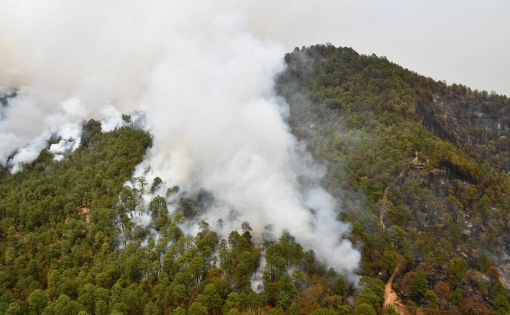 Se evacuaron aproximadamente 260 personas. Foto: Especial