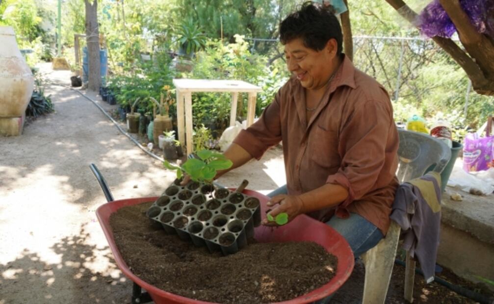 Se suman 5 mil campesinos a siembra de 4T