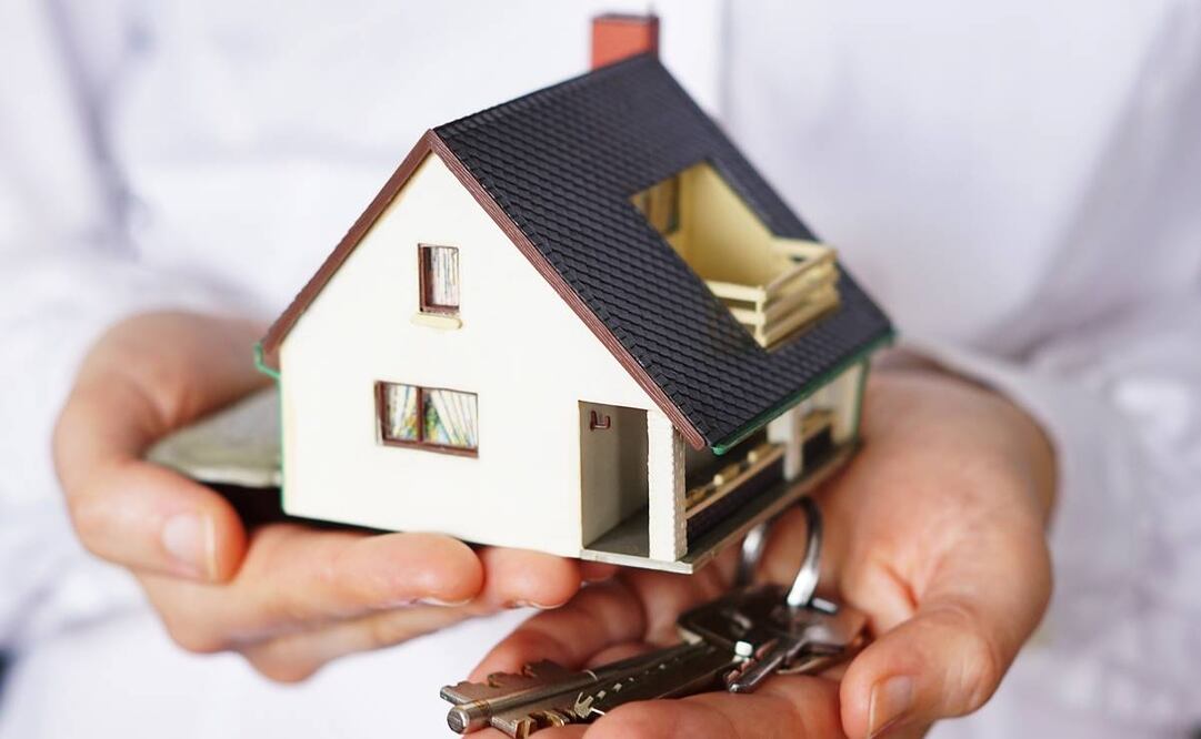 Foto: Imagen de wirestock en Freepik