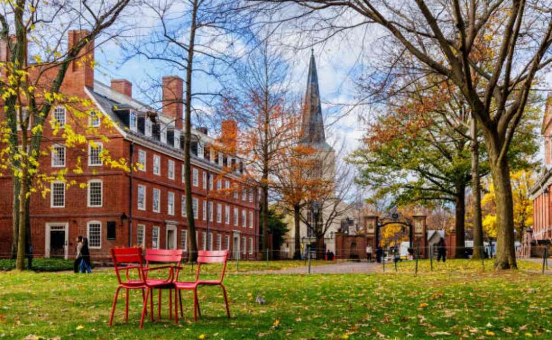 La Universidad de Harvard cerrará sus oficinas de diversidad como exigió Trump. Foto: iStock
