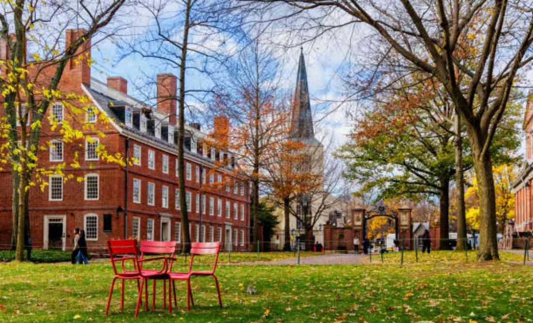 La Universidad de Harvard cerrará sus oficinas de diversidad como exigió Trump. Foto: iStock