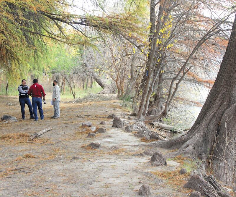 El Cañón de Fernández está muy cerca de la zona conurbada de La Laguna, en un corredor que alberga sabinos milenarios y hasta aves migratorias. Fotos: FRANCISCO RODRÍGUEZ