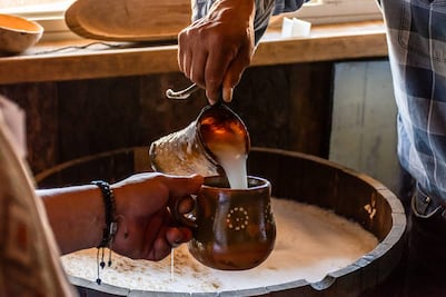Aprueban conmemorar el Día del Pulque en la CDMX; decretan festejarlo el primer domingo de febrero de cada año