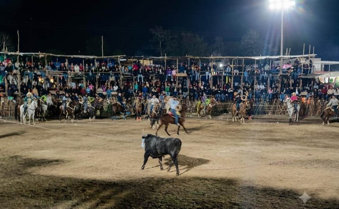 Alcaldesa de Seyé, Yucatán, mantiene corrida de toros pese a amparo; Ayuntamiento anuncia medidas contra el maltrato.
Foto: Especial.