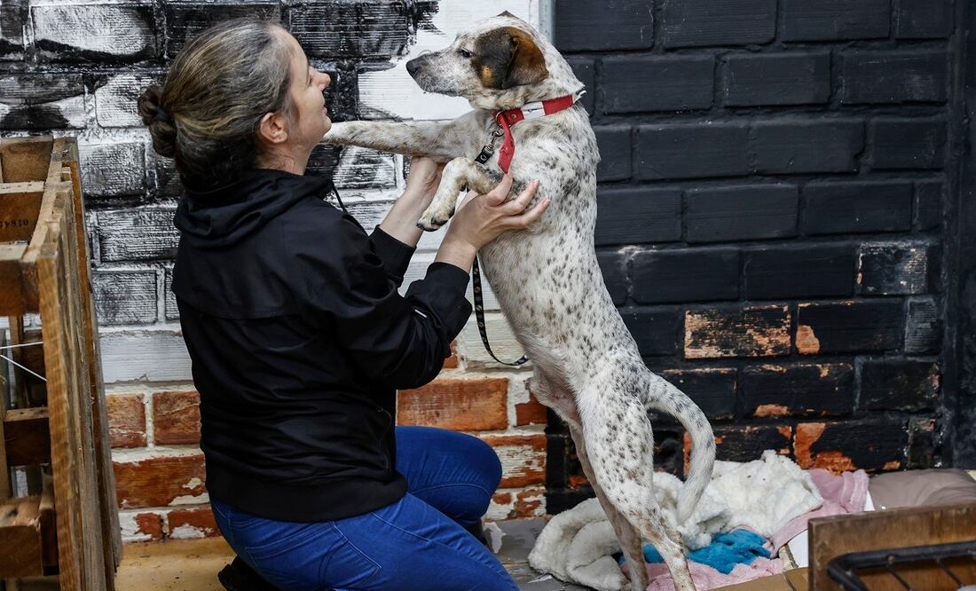 Una mujer acaricia a un perro rescatado de las inundaciones, en un refugio en Porto Alegre, Brasil. Cientos de mascotas han sido rescatadas del agua desde que empezaron las inundaciones en el sur de Brasil. FOTO: SEBASTIAO MOREIRA. EFE