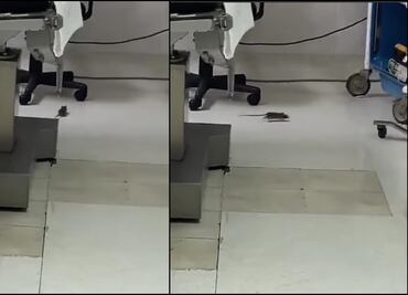 VIDEO: Captan a rata en quirófano de clínica del ISSSTE en BCS; autoridades admiten deficiencias