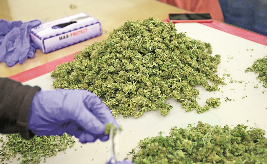 En Uruguay, el gobierno dispone del monopolio para vender la droga mediante las farmacias privadas. Foto: ARCHIVO EFE