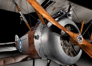 Descarga libre  2.8 millones de imágenes del museo Smithsonian