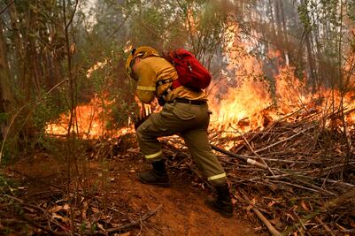 Suman once muertos por incendios forestales en Chile