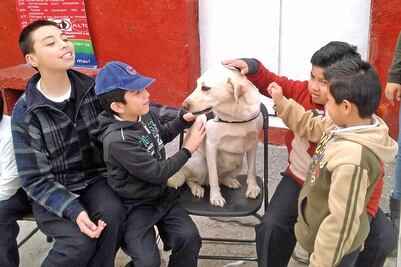 De can problema, a terapeuta