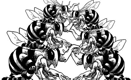 El panal y la idea del panal