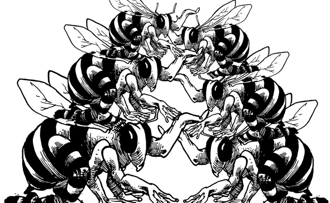 El panal y la idea del panal