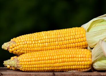 7 beneficios del elote