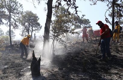 Controlan incendio en Temascaltepec, Estado de México