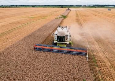 Rusia acepta extender el acuerdo para exportar granos