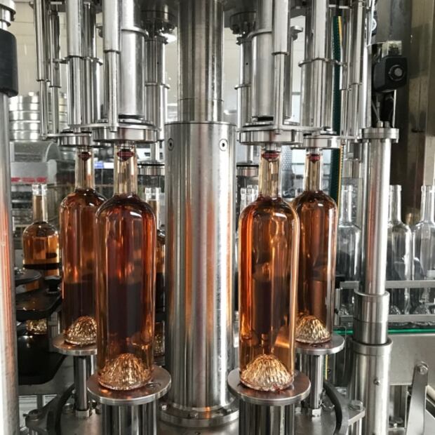 Explora la ruta de vinos en Coahuila 