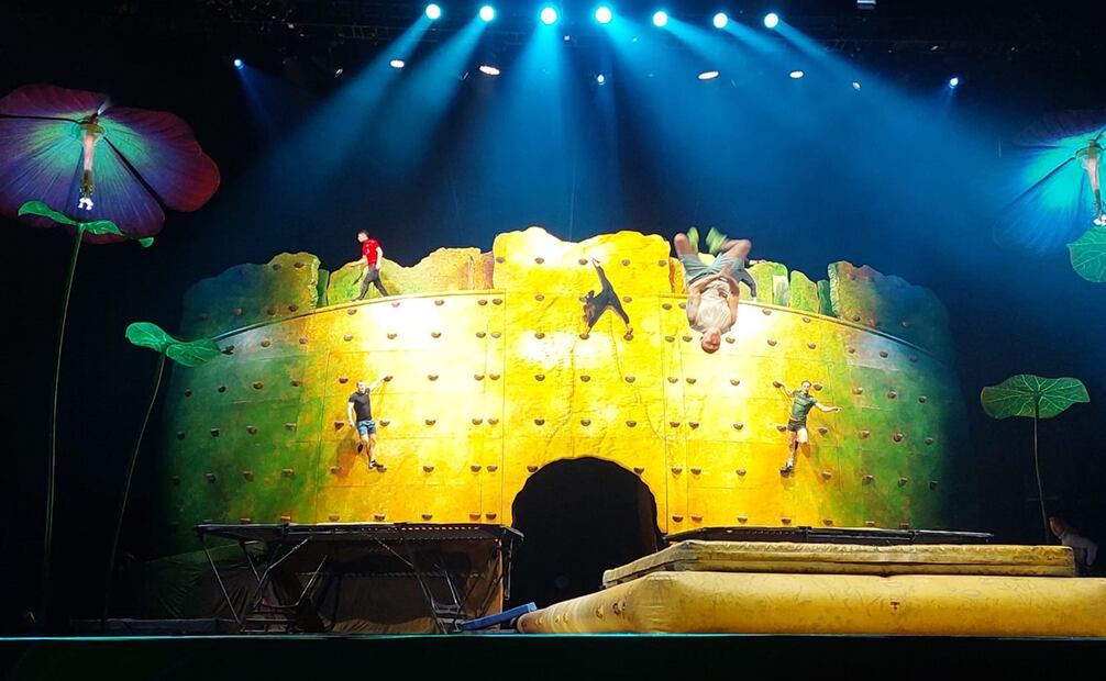 El escenario simula una roca rodeada de vegetación, un ecosistema que llevará al público a vivir una aventura. Foto: Cortesía.