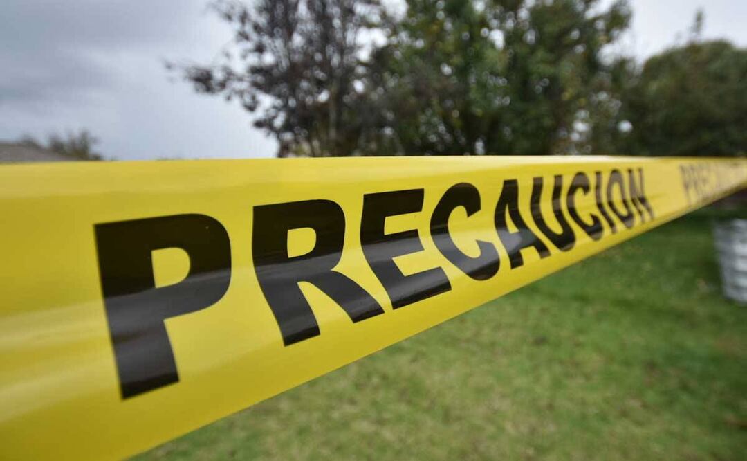 Hallan las piernas de un cuerpo en el bosque de Tlalpan