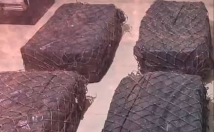 Ecuador decomisa 360 kilos de cocaína; cargamento iba a ser enviado a Estados Unidos