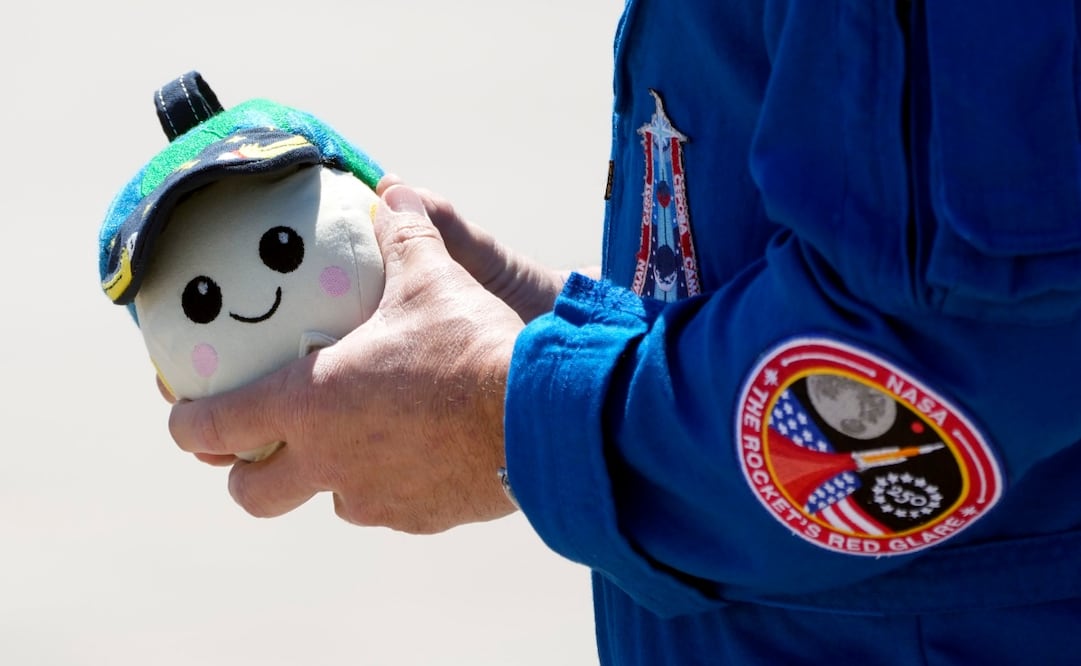 Rise, la mascota de Artemis II. Foto: 
AP / Chris O'Meara