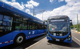 Trolebús celebra 75 años de dar servicio en CDMX; se registraron 152 millones de viajes en 2025  