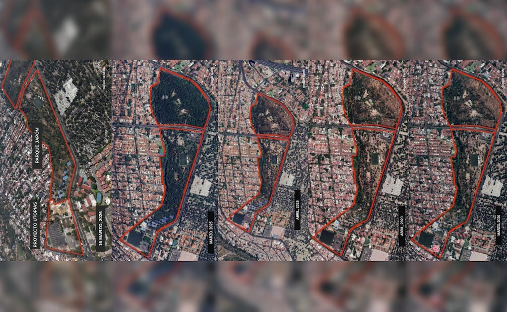 Sedema refrenda compromiso para cuidar zona arbolada del Parque Japón; en la zona se construye una Utopía. (Foto: especial)