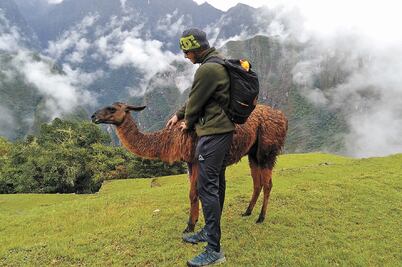 Agente de Celaya sugiere un “Tlatelolco V2” y lo cesan