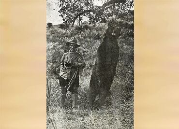 Los cazadores de ayer y hoy
