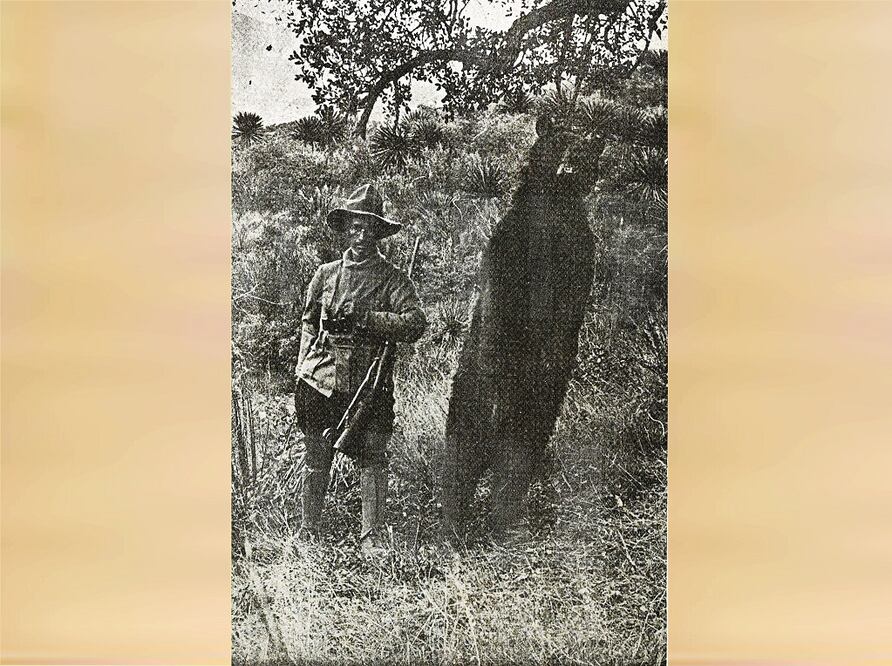 Los cazadores de ayer y hoy