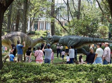 Dinosaurios en México: 7 increíbles lugares para verlos