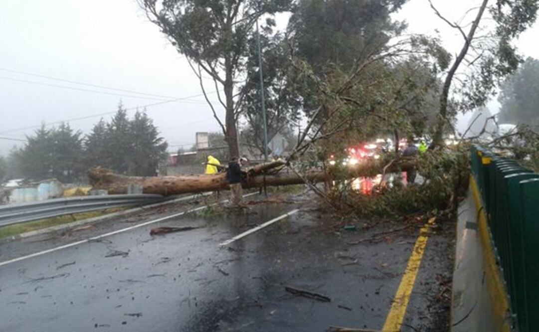 Foto: tomada de @PoliciaFedMx