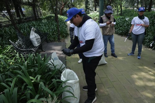 Bimbo, Tetrapack y otras empresas impulsan rehabilitación del bosque de Chapultepec
