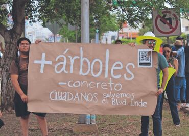 Por construcción, prevén talar 97 árboles en Torreón, Coahuila